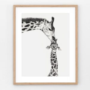Charcoal drawing of a mother giraffe kissing her baby on the head, capturing a tender wildlife moment in black and white.