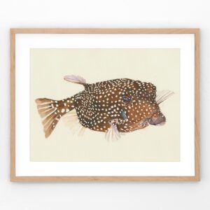 "Aloha" a tropical box fish watercolor art print with soft colors and island-inspired charm. This vibrant fish print brings the spirit of Aloha to any space—perfect for coastal or tropical decor.