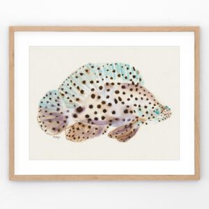 Underwater barramundi cod watercolor art with bold blue hues and hypnotic eyes. Captivating fish print with delicate textures and coastal charm—perfect for ocean lovers and those who crave unique, coastal decor.