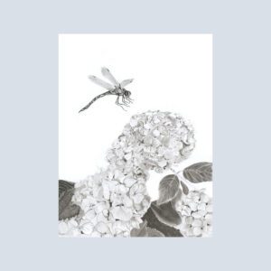 Notecard featuring Touchdown—a charcoal dragonfly landing gently on hydrangeas, set against a soft blue background. A quiet moment from nature, wrapped in whimsy and printed with charm.