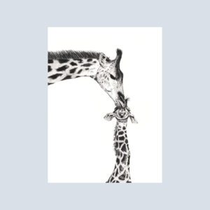 Black and white note card illustration of a mother giraffe gently kissing her calf on the head.