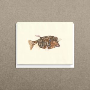 Whimsical spotted boxfish note card lying flat on a neutral linen background