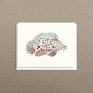 Barramundi cod notecard on a soft linen background