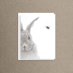 Charcoal illustration note card of a rabbit peeking out with a bumblebee flying nearby