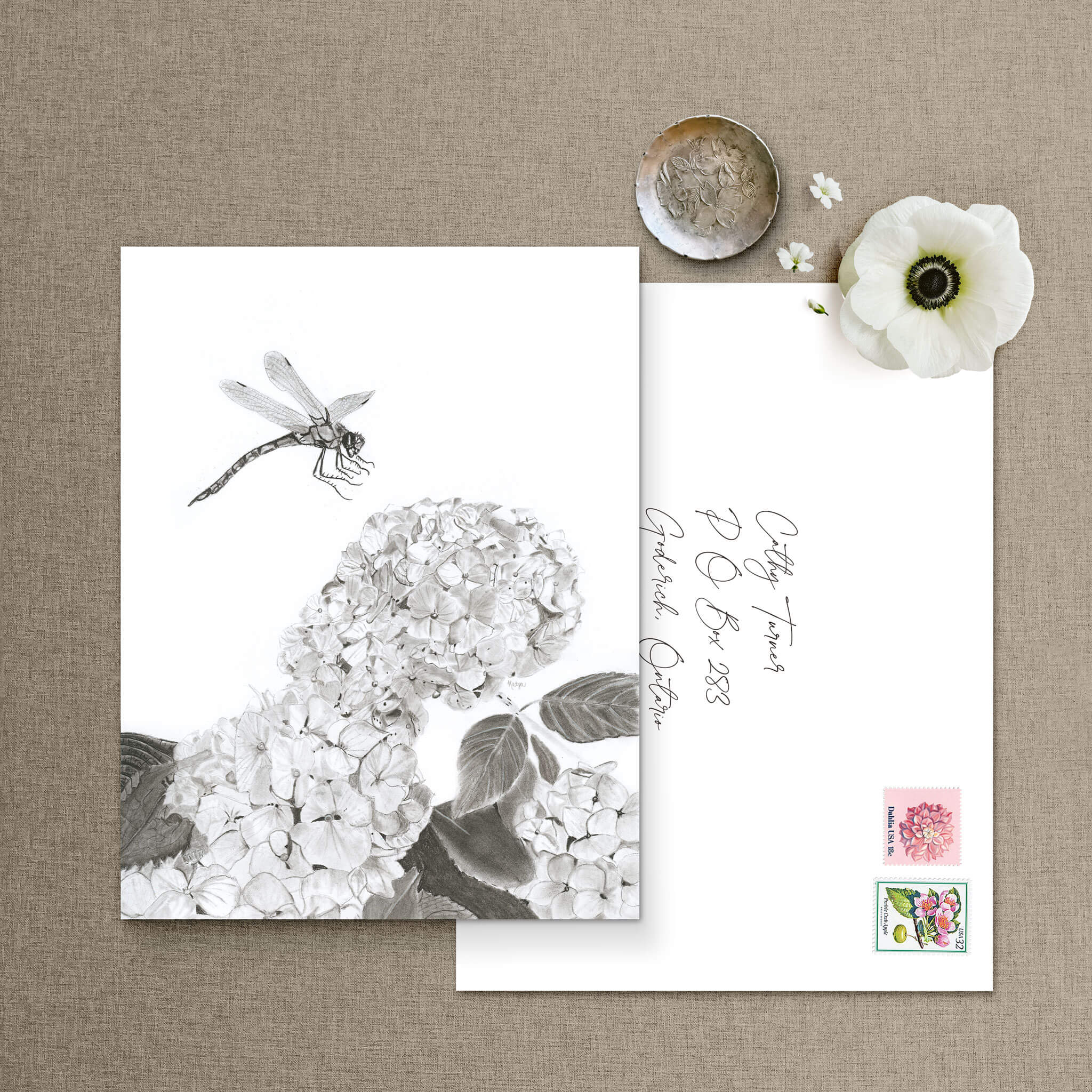 Dragonfly botanical note card resting beside a hand-addressed envelope with vintage postage stamps