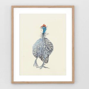 Watercolor and ink guinea fowl print of a helmeted guineafowl striking a sassy pose, no background