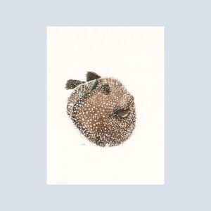 Note card featuring a plump, white-spotted pufferfish with a cheerful smile and playful expression.