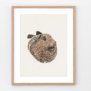 A cheerful pufferfish watercolor art print, framed in natural wood and set against a soft neutral background. This little fish beams with personality, bringing a playful pop of coastal wall art charm to your space.