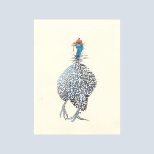 Note card featuring a brightly colored guineafowl with a sweet, curious expression.