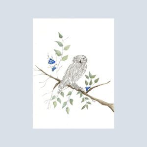 Note card featuring a playful calligraphy owl perched on watercolor branches with dark berries.