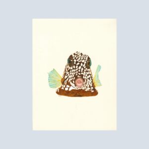 Whimsical note card of a spotted trunkfish, playfully dotted and full of character.