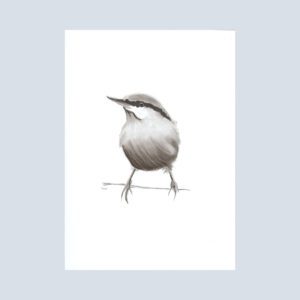 A note card with a black and white illustration of a nuthatch perched calmly on a branch, exuding quiet charm.