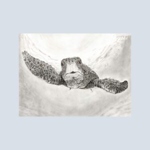 Note card featuring a graceful sea turtle swimming underwater.