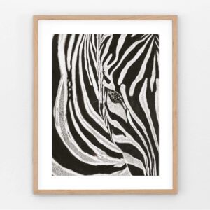 Charcoal drawing of a partial zebra head and body, with bold stripes and select areas rendered in fine dot detail.